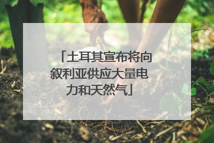 土耳其宣布将向叙利亚供应大量电力和天然气