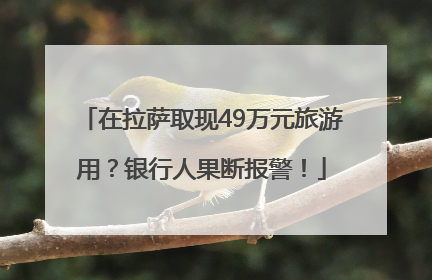 在拉萨取现49万元旅游用？银行人果断报警！