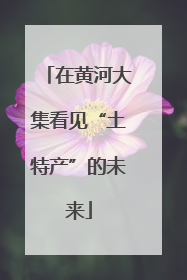 在黄河大集看见“土特产”的未来