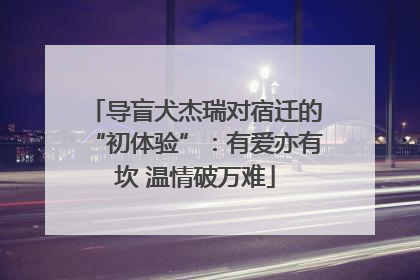 导盲犬杰瑞对宿迁的“初体验”：有爱亦有坎 温情破万难