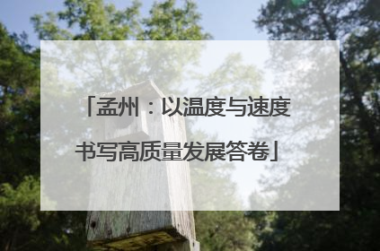 孟州：以温度与速度书写高质量发展答卷