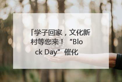 学子回家，文化新村等您来！“Block Day”催化学院式街区新生态