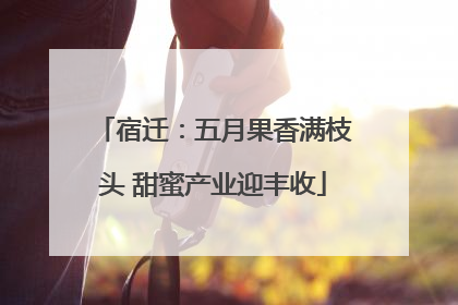 宿迁：五月果香满枝头 甜蜜产业迎丰收