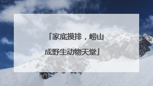家底摸排，崂山成野生动物天堂