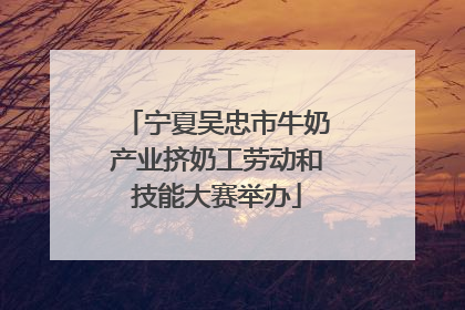 宁夏吴忠市牛奶产业挤奶工劳动和技能大赛举办