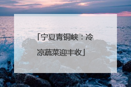 宁夏青铜峡：冷凉蔬菜迎丰收
