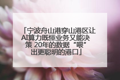 宁波舟山港穿山港区让AI算力既懂业务又能决策 20年的数据“喂”出更聪明的港口
