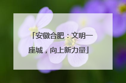 安徽合肥：文明一座城，向上新力量