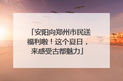 安阳向郑州市民送福利啦！这个夏日，来感受古都魅力