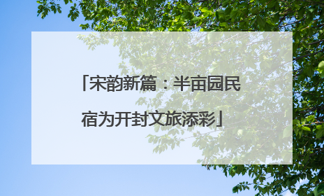 宋韵新篇：半亩园民宿为开封文旅添彩