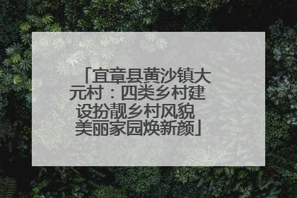 宜章县黄沙镇大元村：四类乡村建设扮靓乡村风貌 美丽家园焕新颜