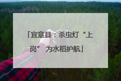 宜章县：杀虫灯“上岗” 为水稻护航