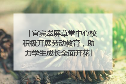 宜宾翠屏草堂中心校积极开展劳动教育，助力学生成长全面开花