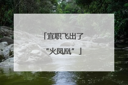 宜职飞出了“火凤凰”