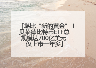 堪比“新的黄金”！贝莱德比特币ETF总规模达700亿美元 仅上市一年多