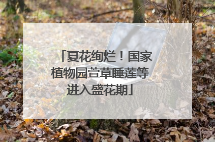 夏花绚烂！国家植物园萱草睡莲等进入盛花期