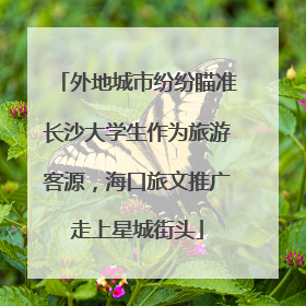 外地城市纷纷瞄准长沙大学生作为旅游客源，海口旅文推广走上星城街头