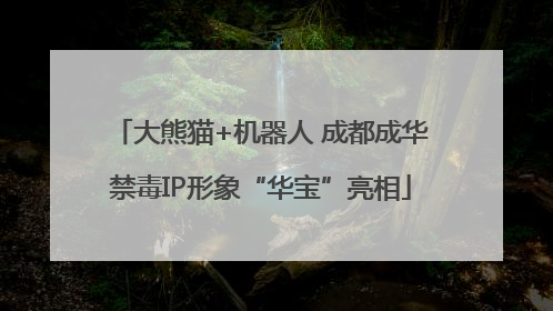 大熊猫+机器人 成都成华禁毒IP形象“华宝”亮相