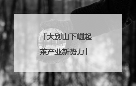 大别山下崛起茶产业新势力