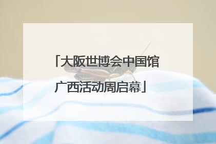 大阪世博会中国馆广西活动周启幕