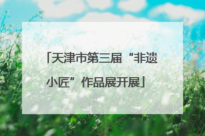 天津市第三届“非遗小匠”作品展开展