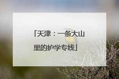 天津：一条大山里的护学专线