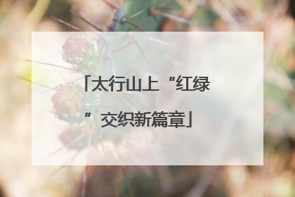 太行山上“红绿”交织新篇章