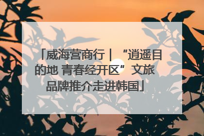 威海营商行｜“逍遥目的地 青春经开区”文旅品牌推介走进韩国