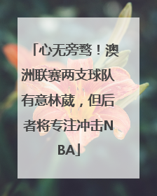 心无旁骛！澳洲联赛两支球队有意林葳，但后者将专注冲击NBA