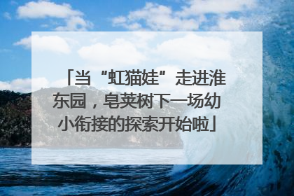 当“虹猫娃”走进淮东园，皂荚树下一场幼小衔接的探索开始啦