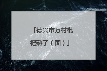 德兴市万村枇杷熟了（图）