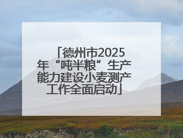 德州市2025年“吨半粮”生产能力建设小麦测产工作全面启动