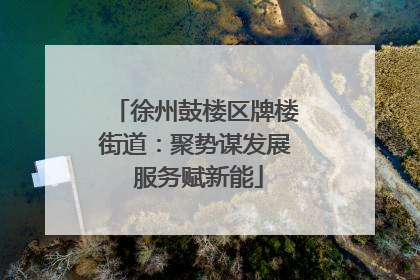 徐州鼓楼区牌楼街道：聚势谋发展 服务赋新能