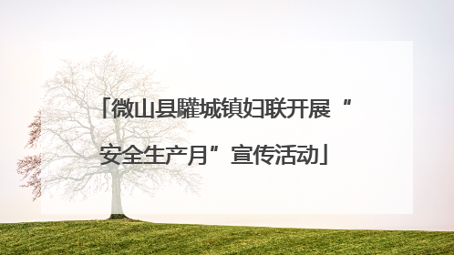 微山县驩城镇妇联开展“安全生产月”宣传活动