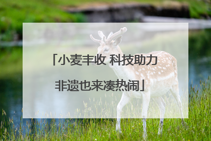 小麦丰收 科技助力 非遗也来凑热闹