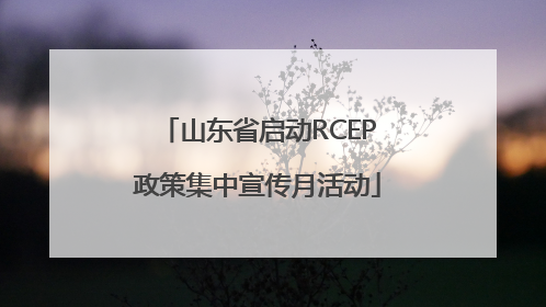山东省启动RCEP政策集中宣传月活动