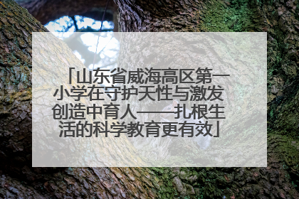 山东省威海高区第一小学在守护天性与激发创造中育人——扎根生活的科学教育更有效