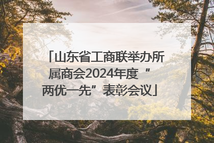 山东省工商联举办所属商会2024年度“两优一先”表彰会议