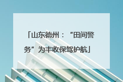山东德州：“田间警务”为丰收保驾护航
