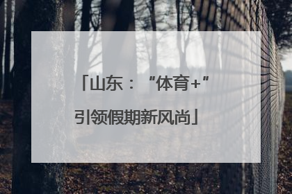山东：“体育+”引领假期新风尚