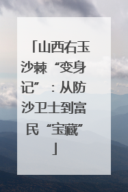 山西右玉沙棘“变身记”：从防沙卫士到富民“宝藏”