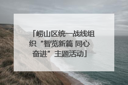 崂山区统一战线组织“智览新篇 同心奋进”主题活动