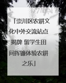 崇川区农耕文化中外交流站点揭牌 留学生田间挥镰体验农耕之乐