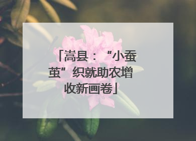 嵩县：“小蚕茧”织就助农增收新画卷