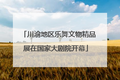 川渝地区乐舞文物精品展在国家大剧院开幕