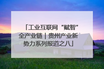 工业互联网“赋智”全产业链｜贵州产业新势力系列报道之八