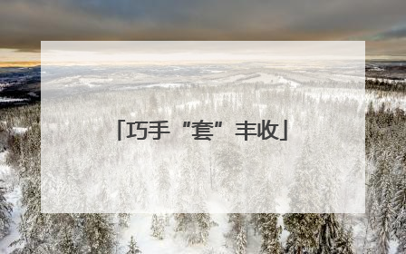 巧手“套”丰收
