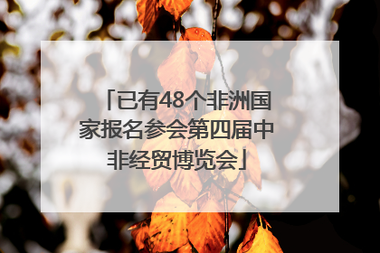 已有48个非洲国家报名参会第四届中非经贸博览会