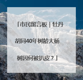 市民留言板｜牡丹胡同40年树龄大杨树因何被扒皮？