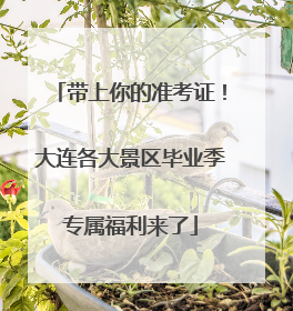带上你的准考证！大连各大景区毕业季专属福利来了